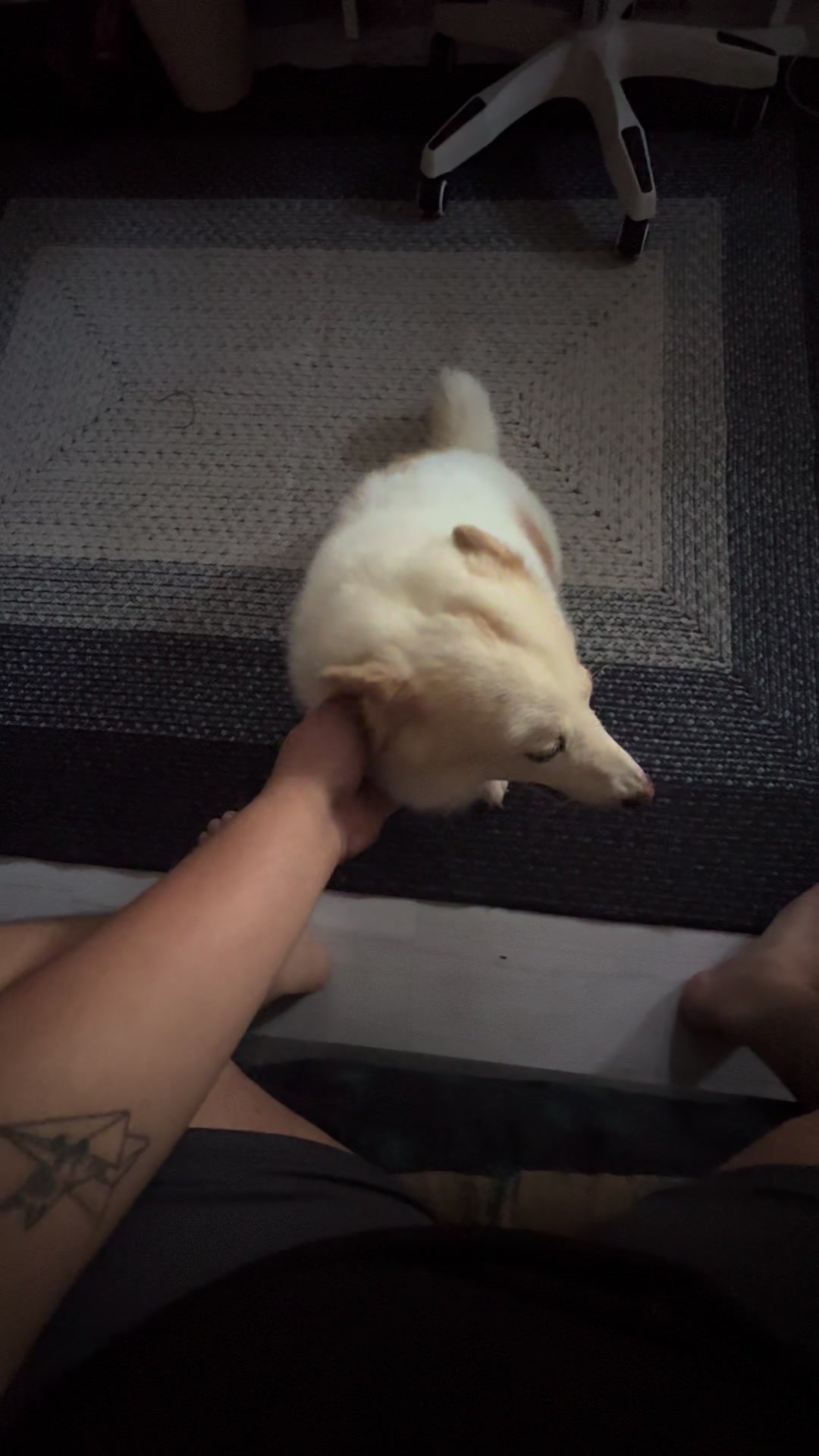 @TheCatFather
