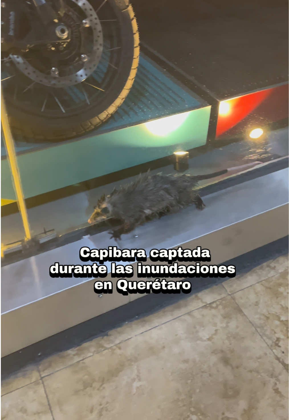 @Alan Vázquez