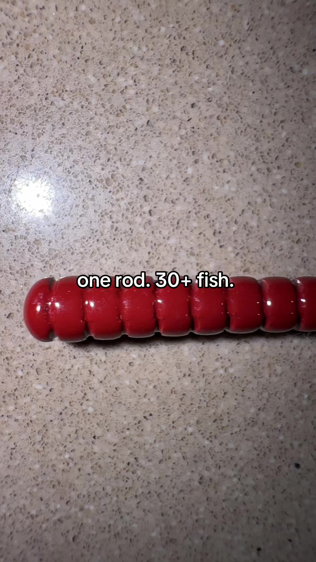 @your local beed dealer🔌🐟