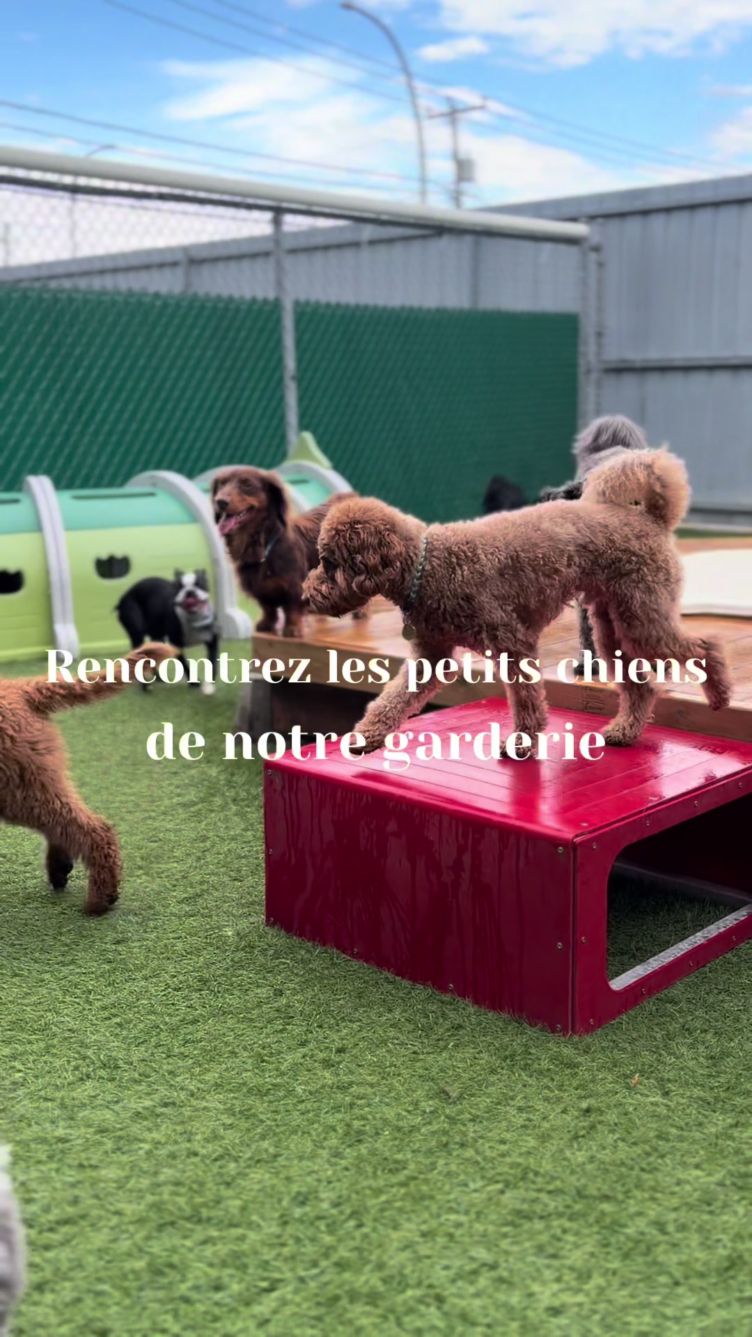 @centrecanindesruisseaux
