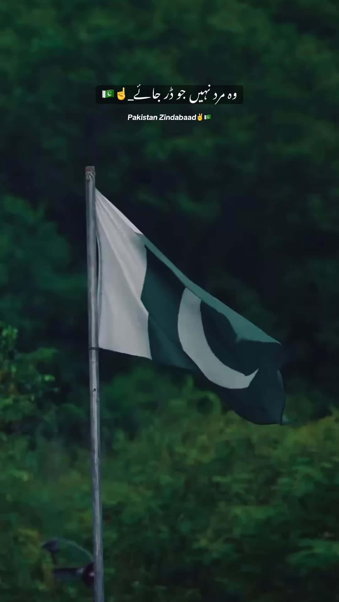@پنجاب❤️🩹