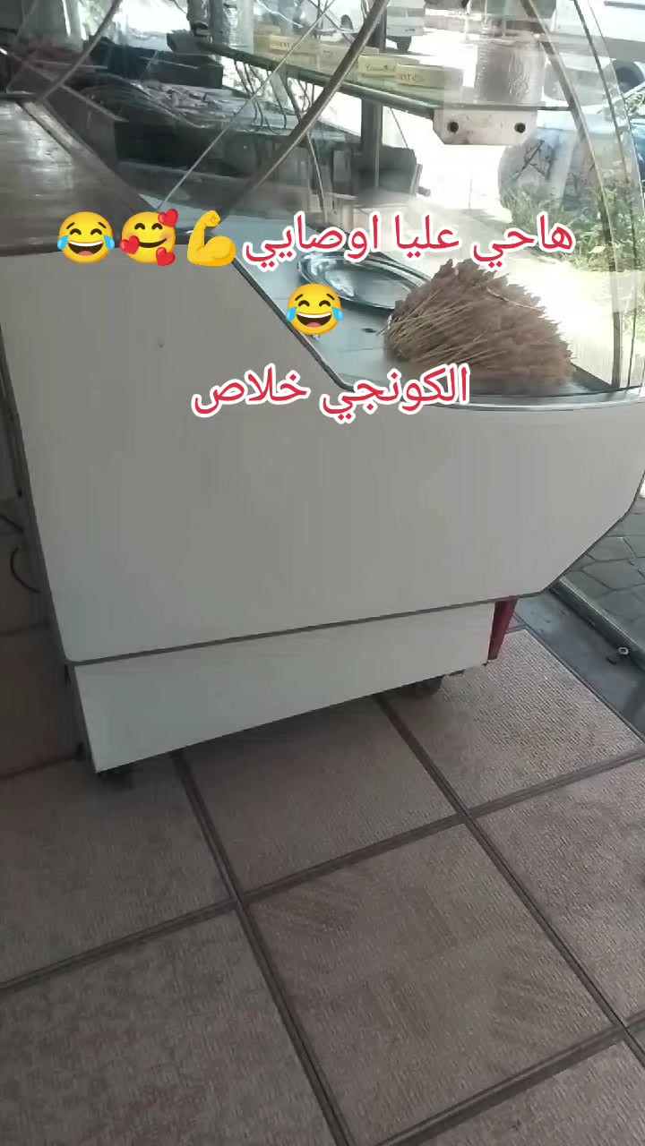 @hamo mohia