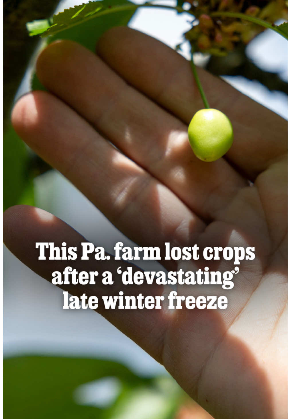 @The Philadelphia Inquirer