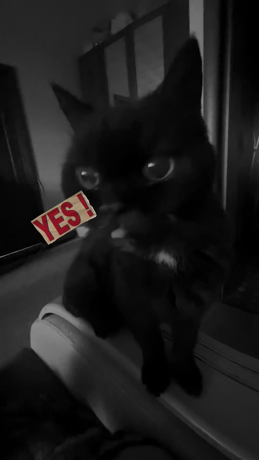 @yes!