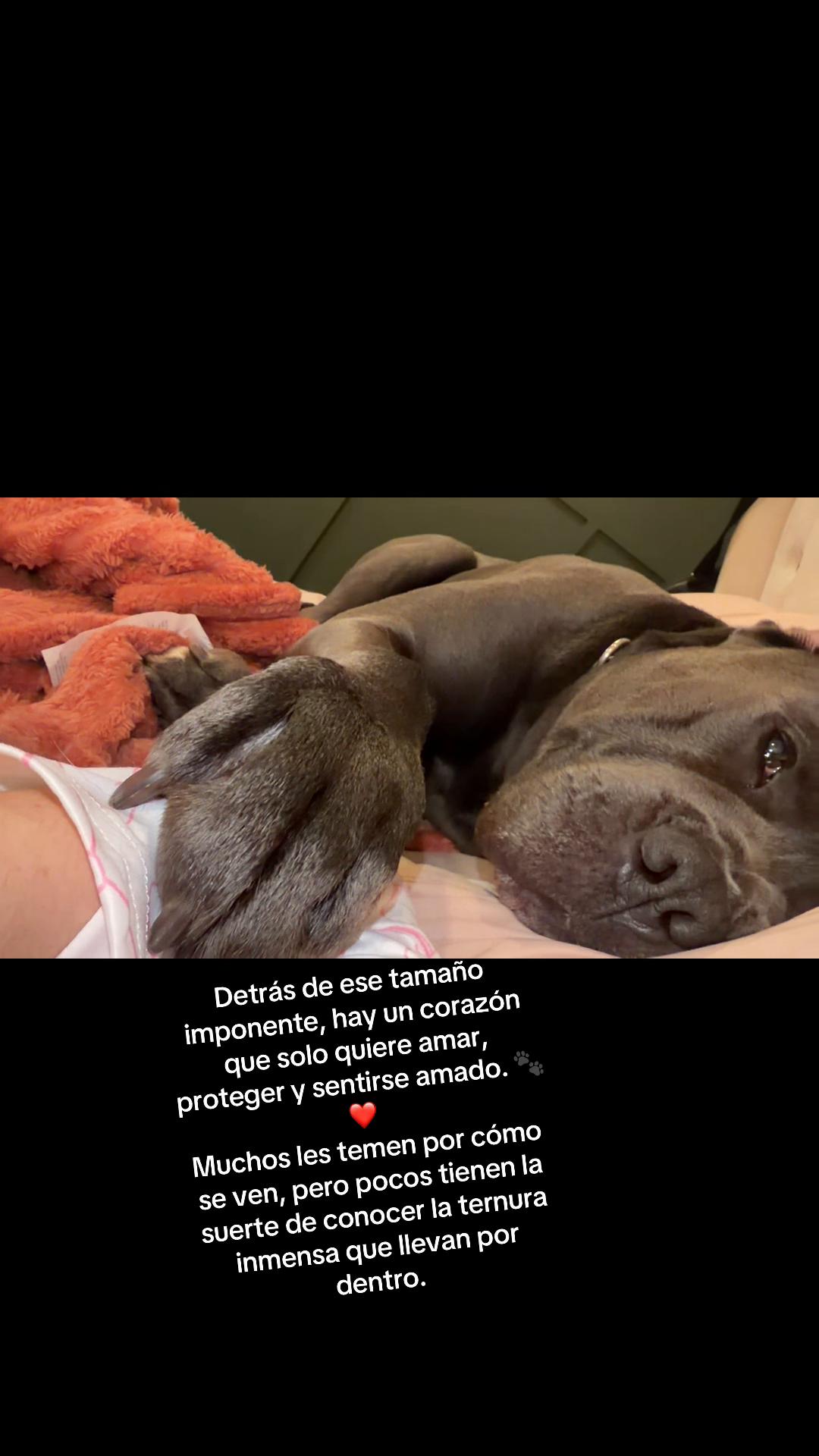 @Familiaperrunakiaraydefter