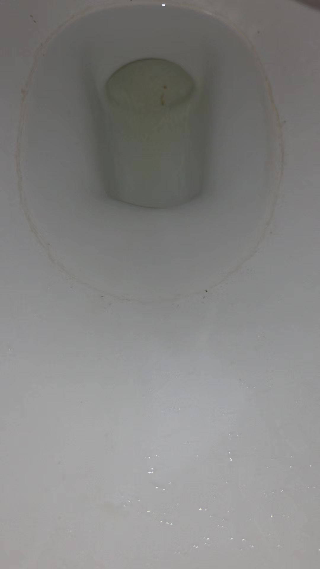 @มาเตโอ💩💩