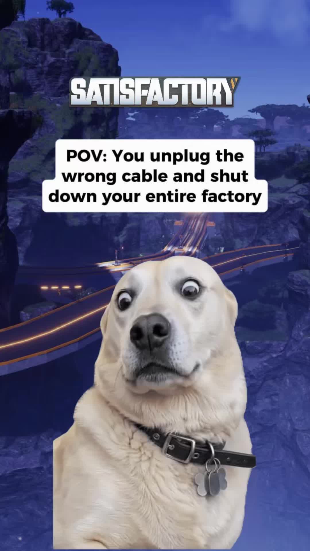 @Facto Builds
