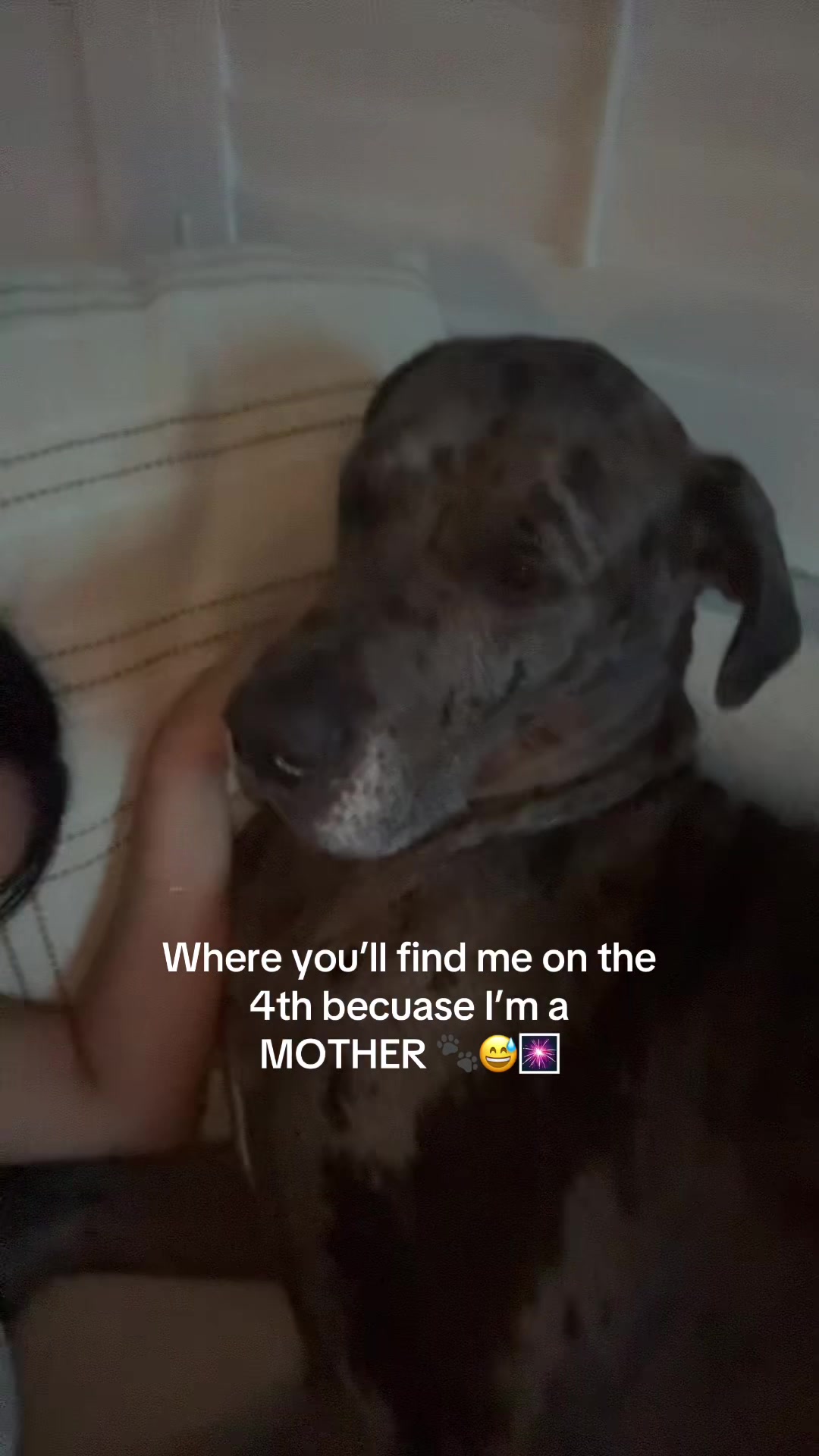 @Karina