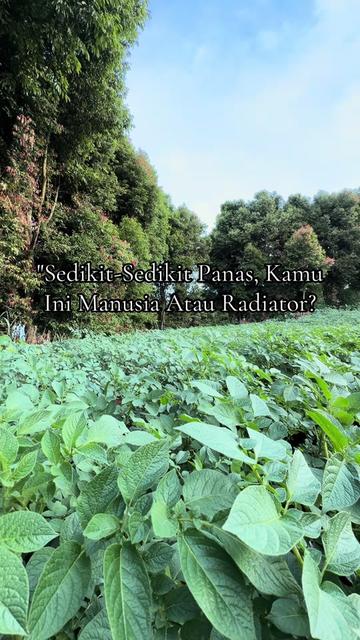 @nanda_setiawan_