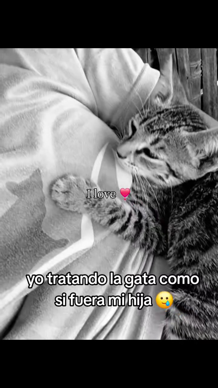 @Alexandra🐾