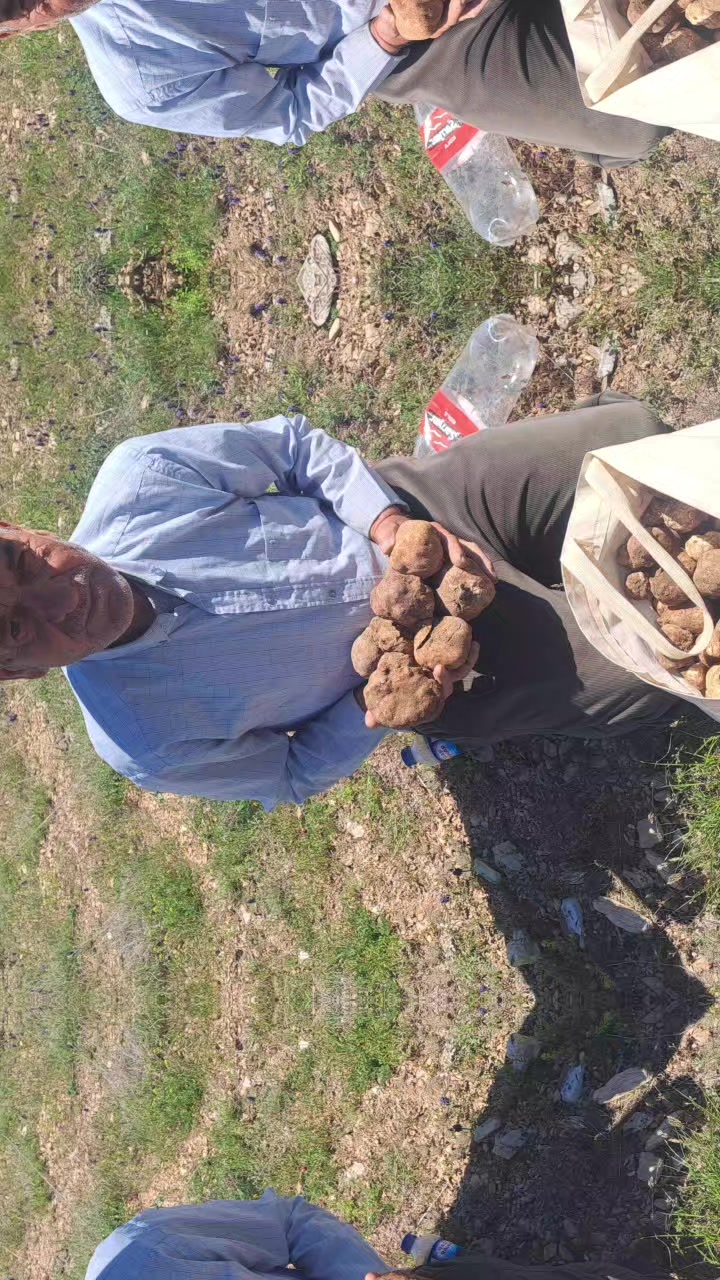 @HÜSEYİN63
