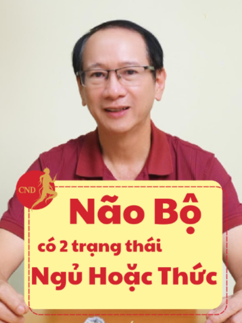 @CND GINSENG Vietnam