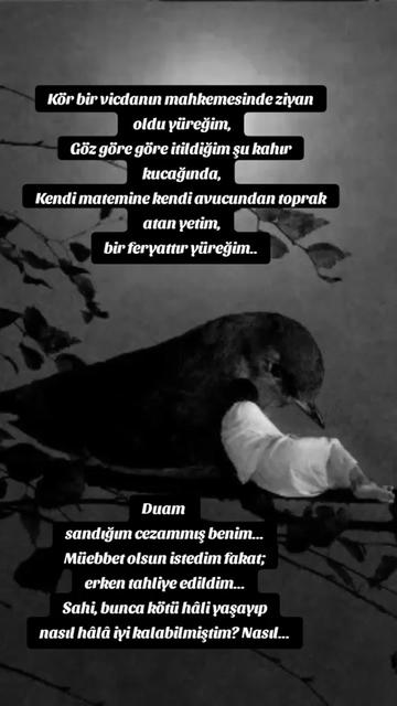 @🇹🇷 Zeynep 🇹🇷