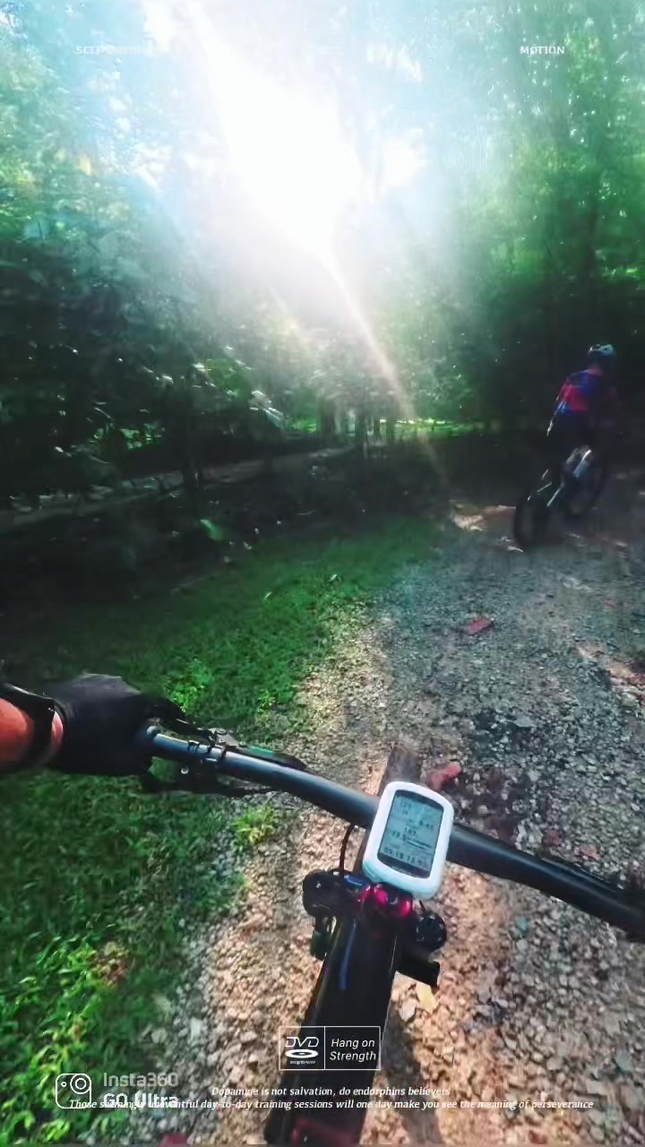 @Chestnut rider