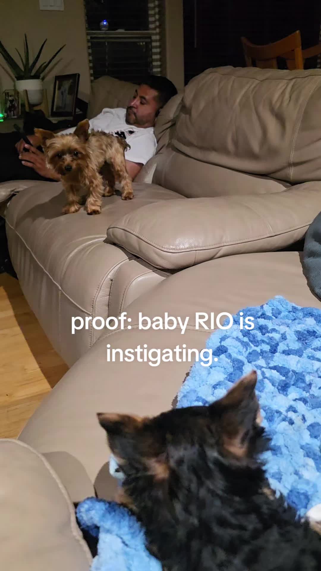 @SPI-RIO-cito