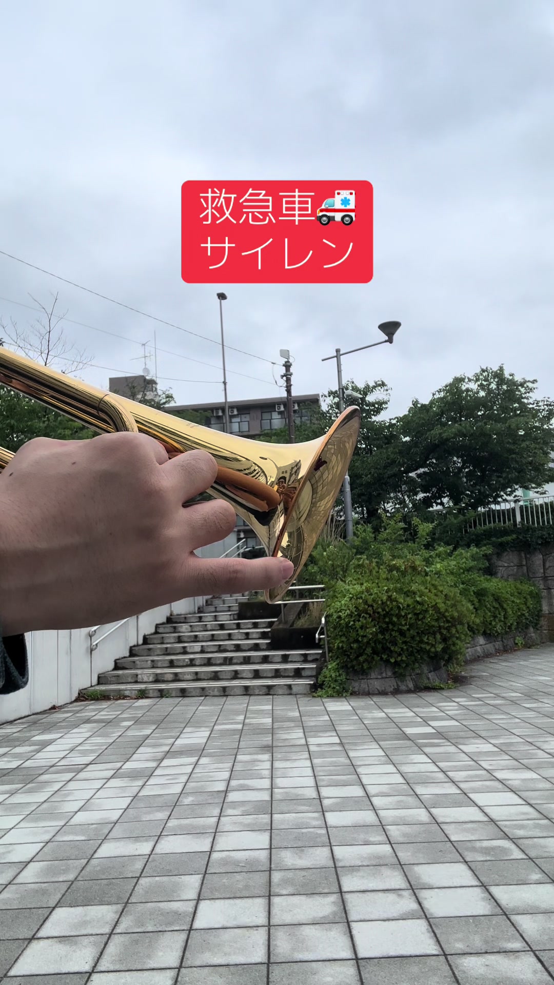 @夜田わけい