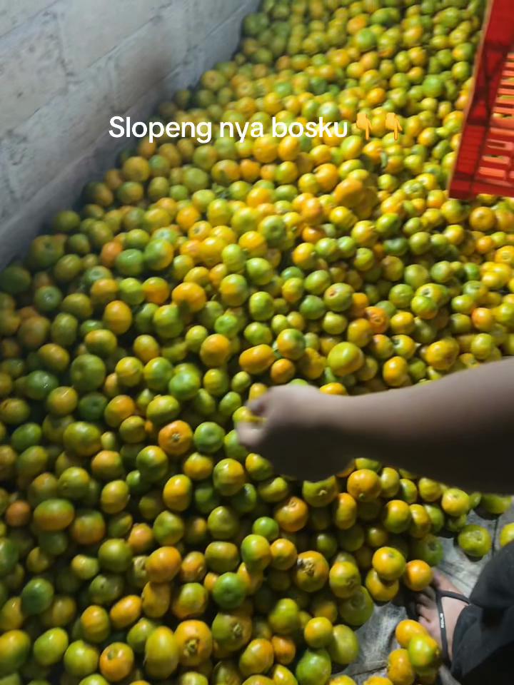 @Anakpetani🍊