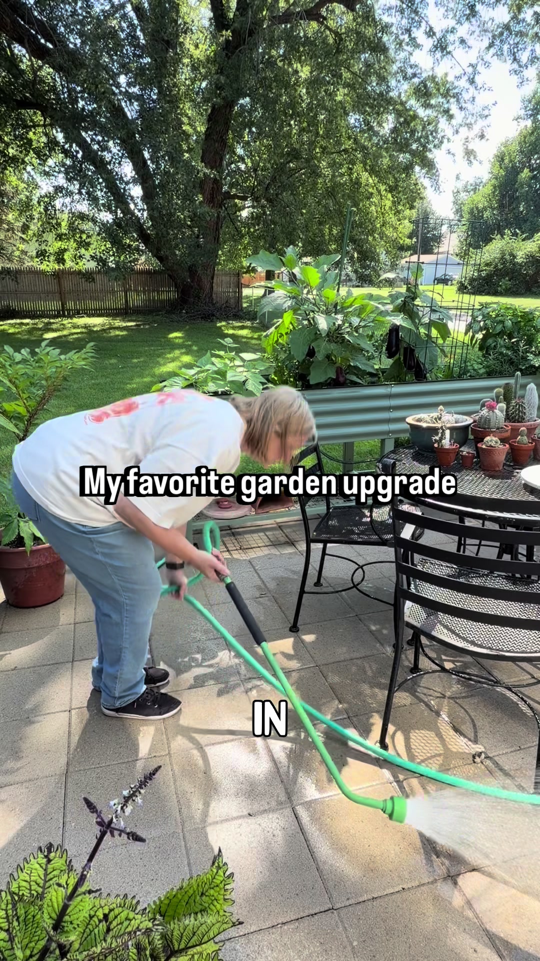 @Pothosiblyaboutplants