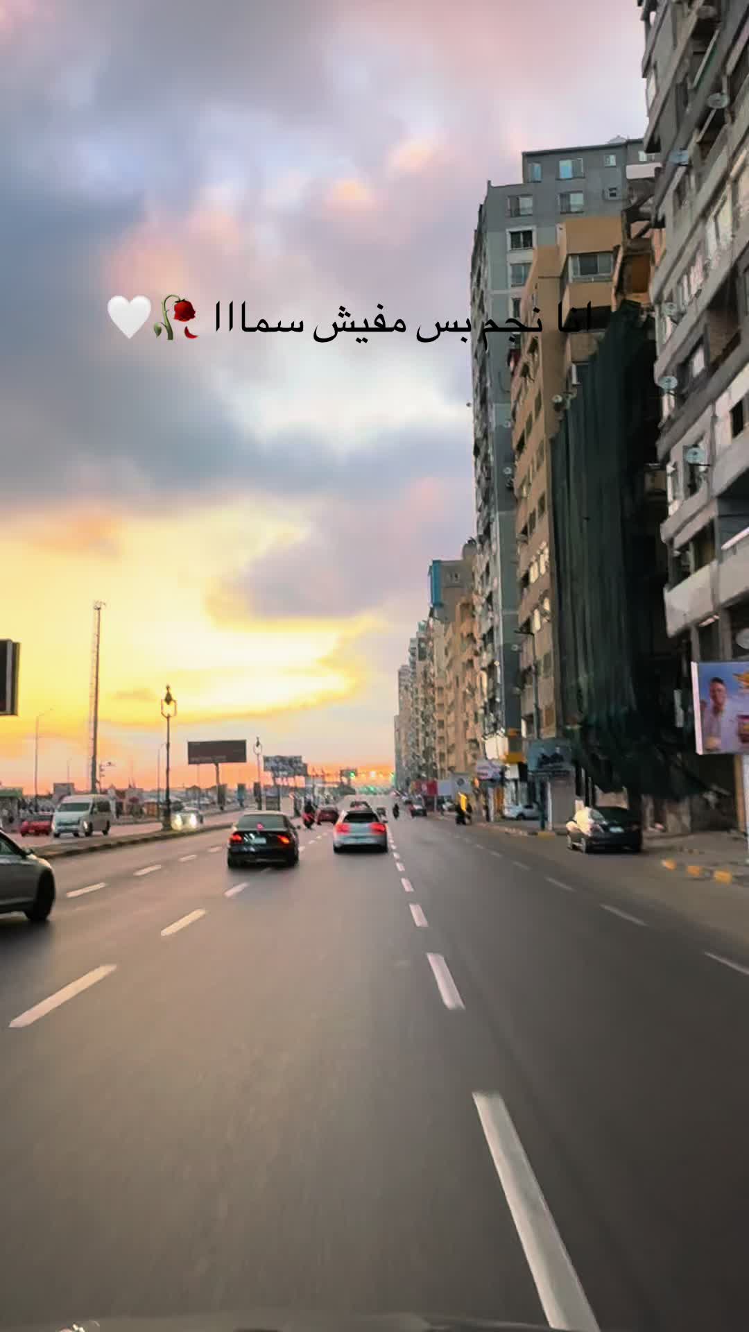 @Nourin Khalil