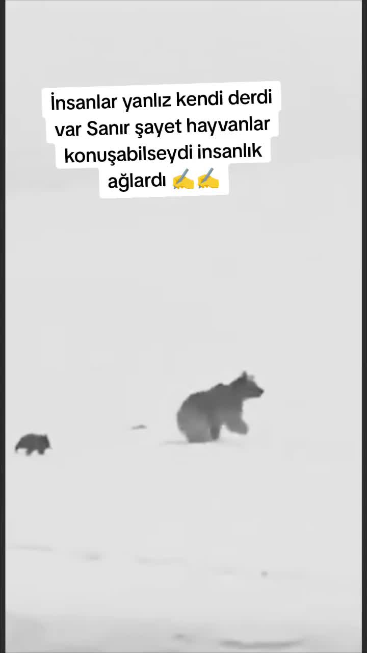 @mervan ay