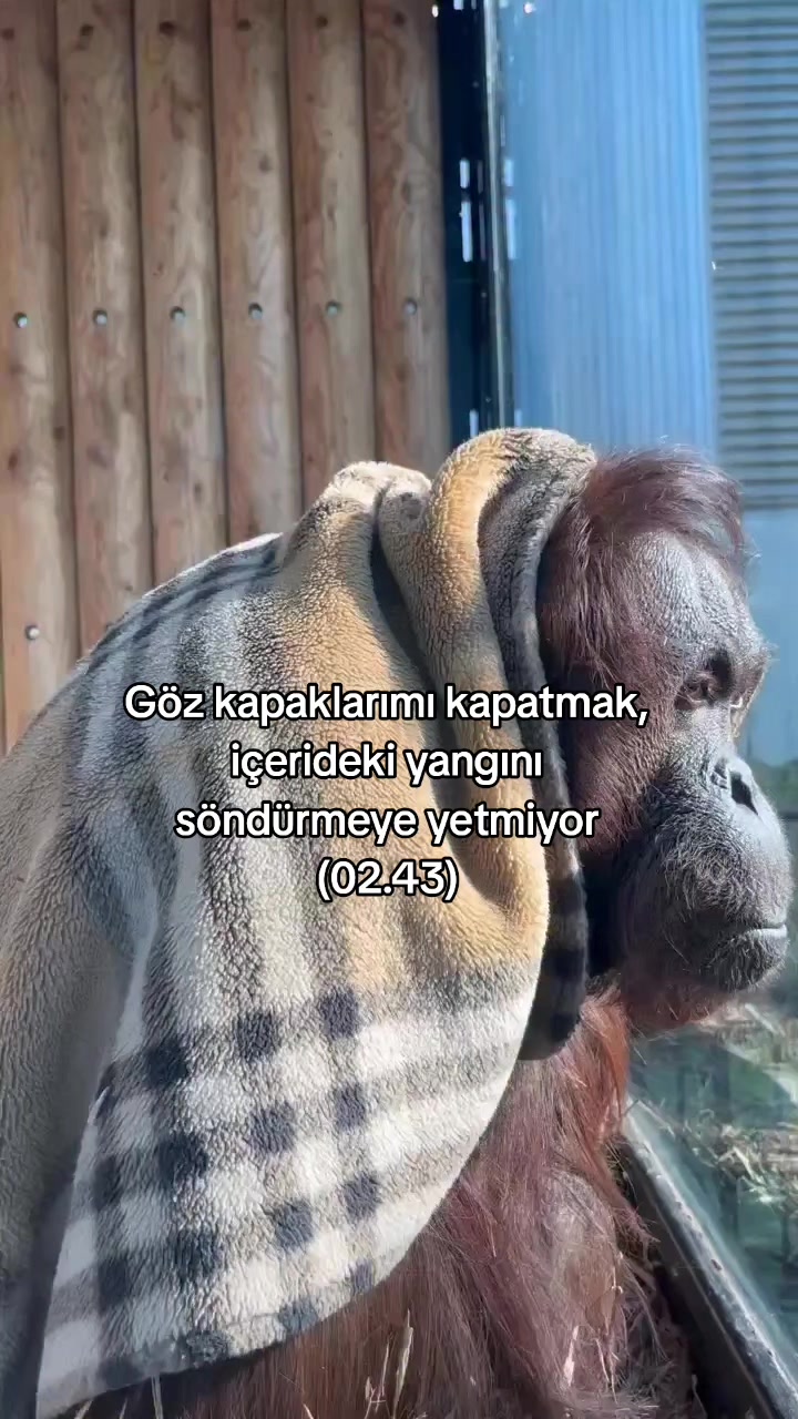 @rolland