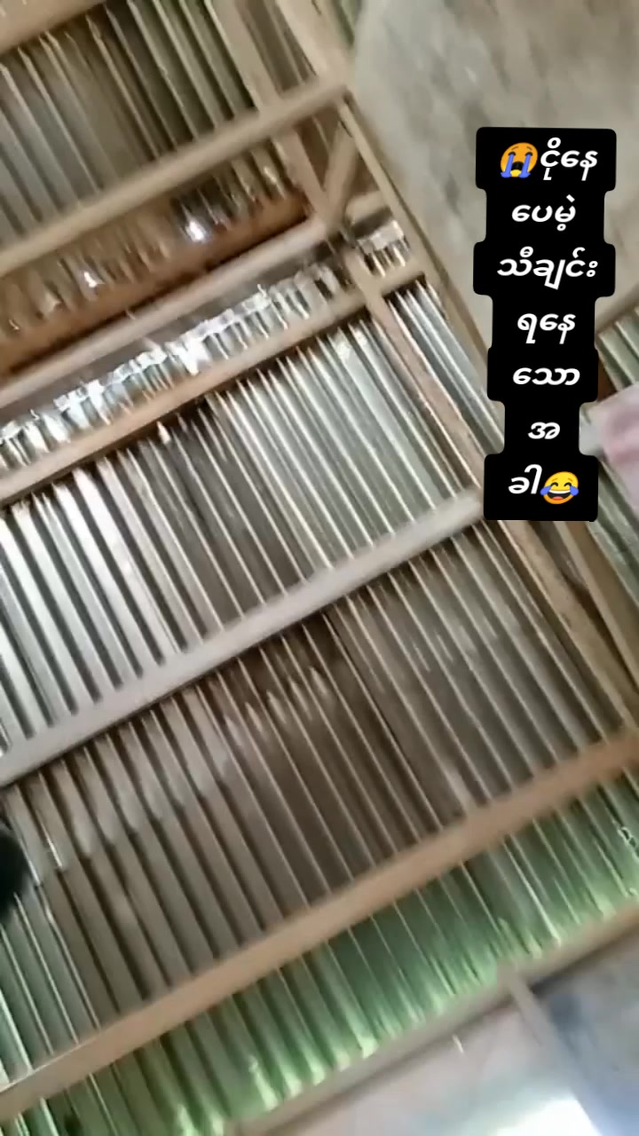 @ပျော်စေ...😁😁🥰