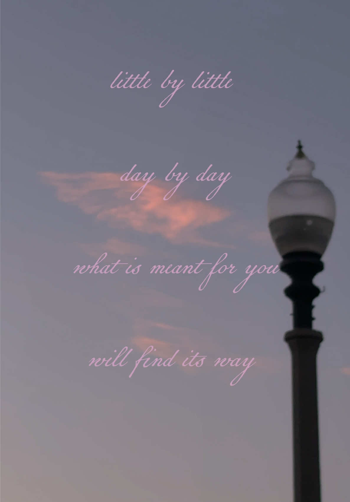 @rue the witch