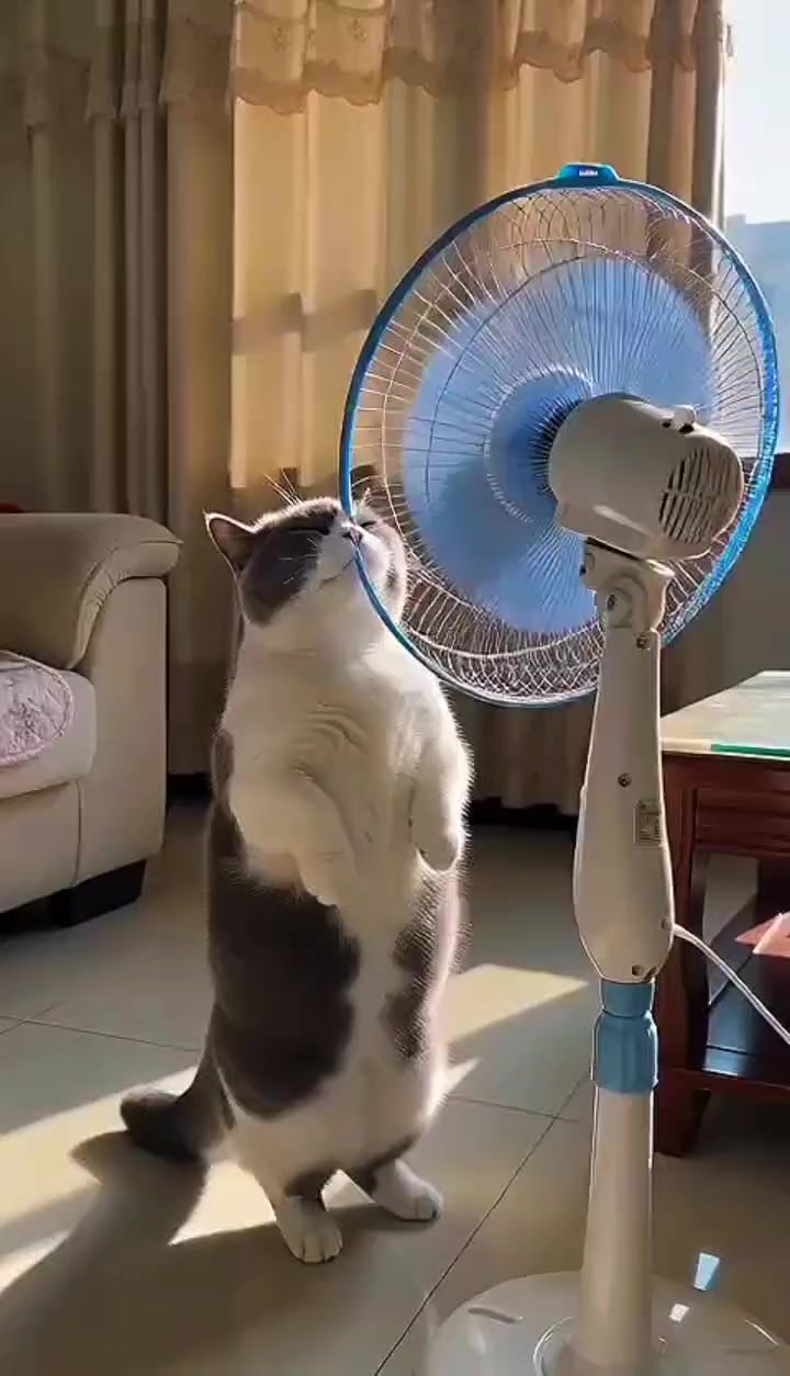 @올싱나야