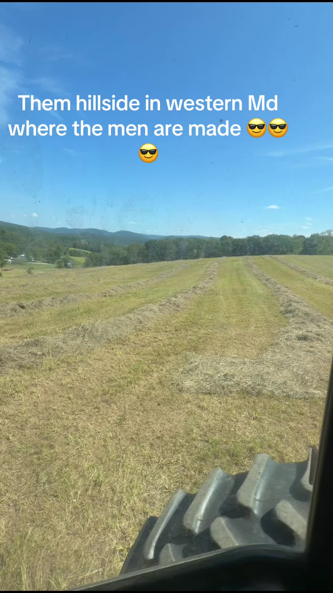 @hayseed1206