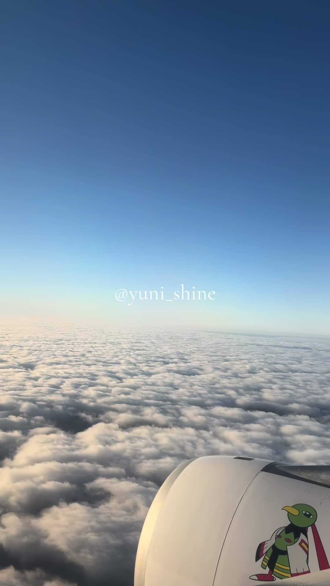 @yuni