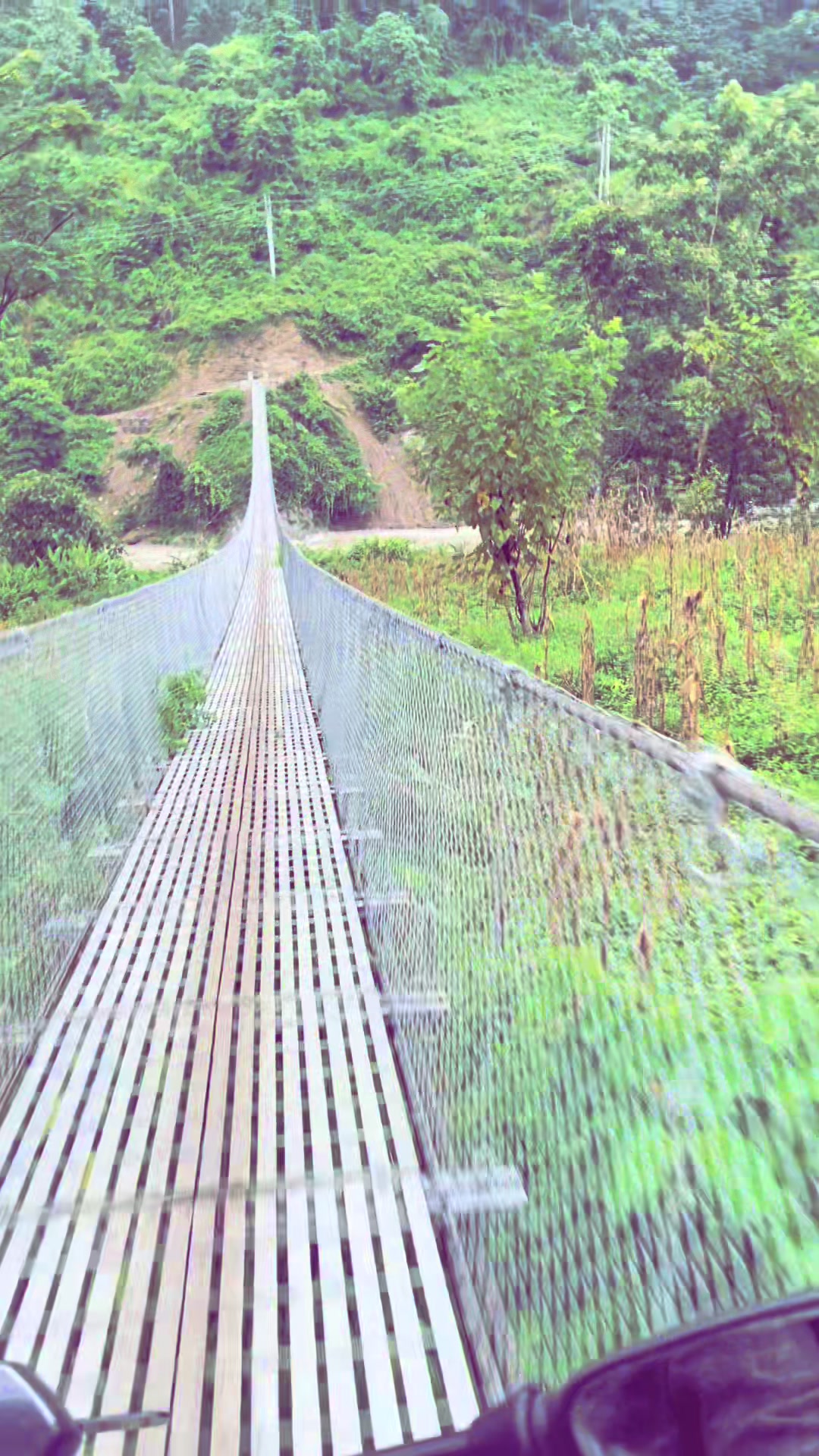 @⚜️