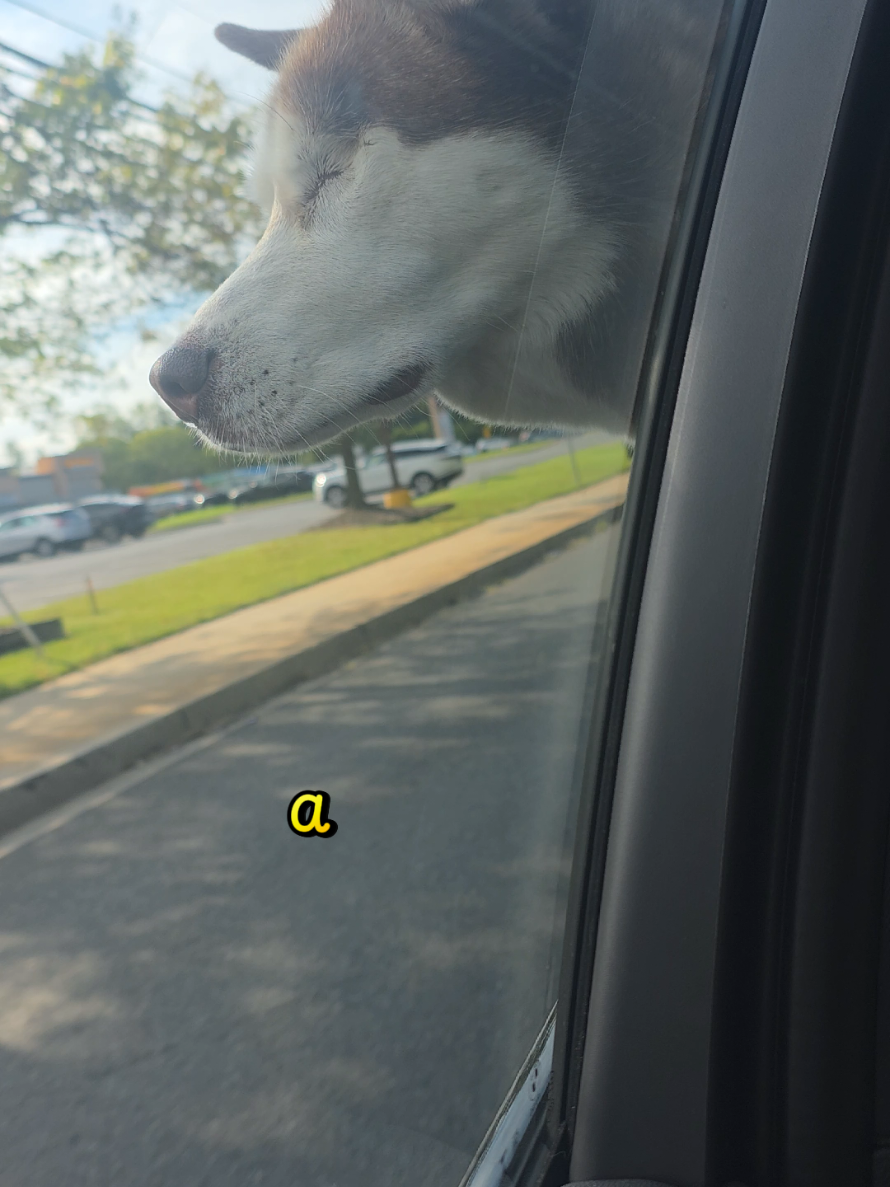 @๐น๐๐ป๐ถ๐๐ฎ๐๐พ