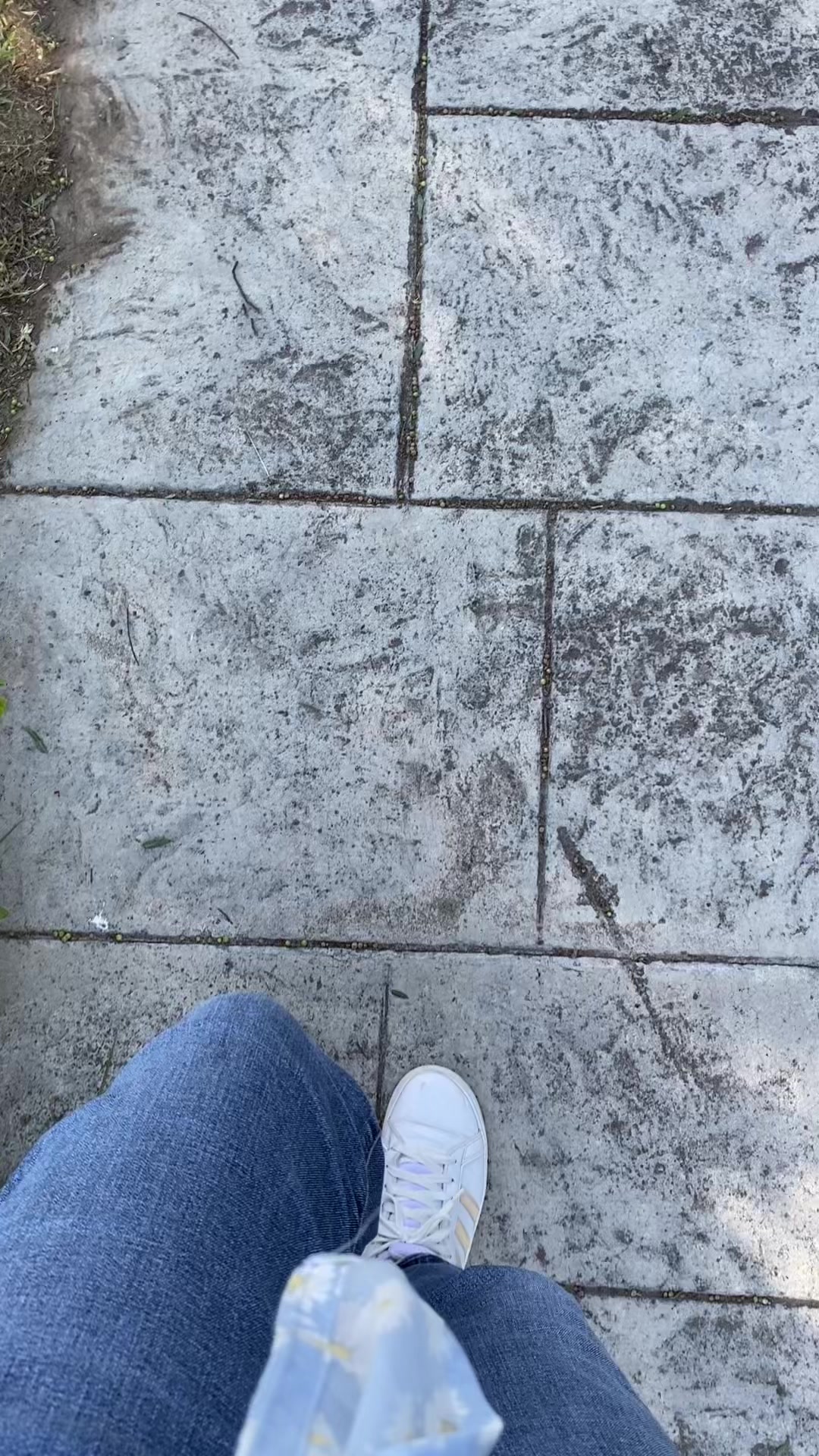 @౿ᥣꪱᜒ ⚜️