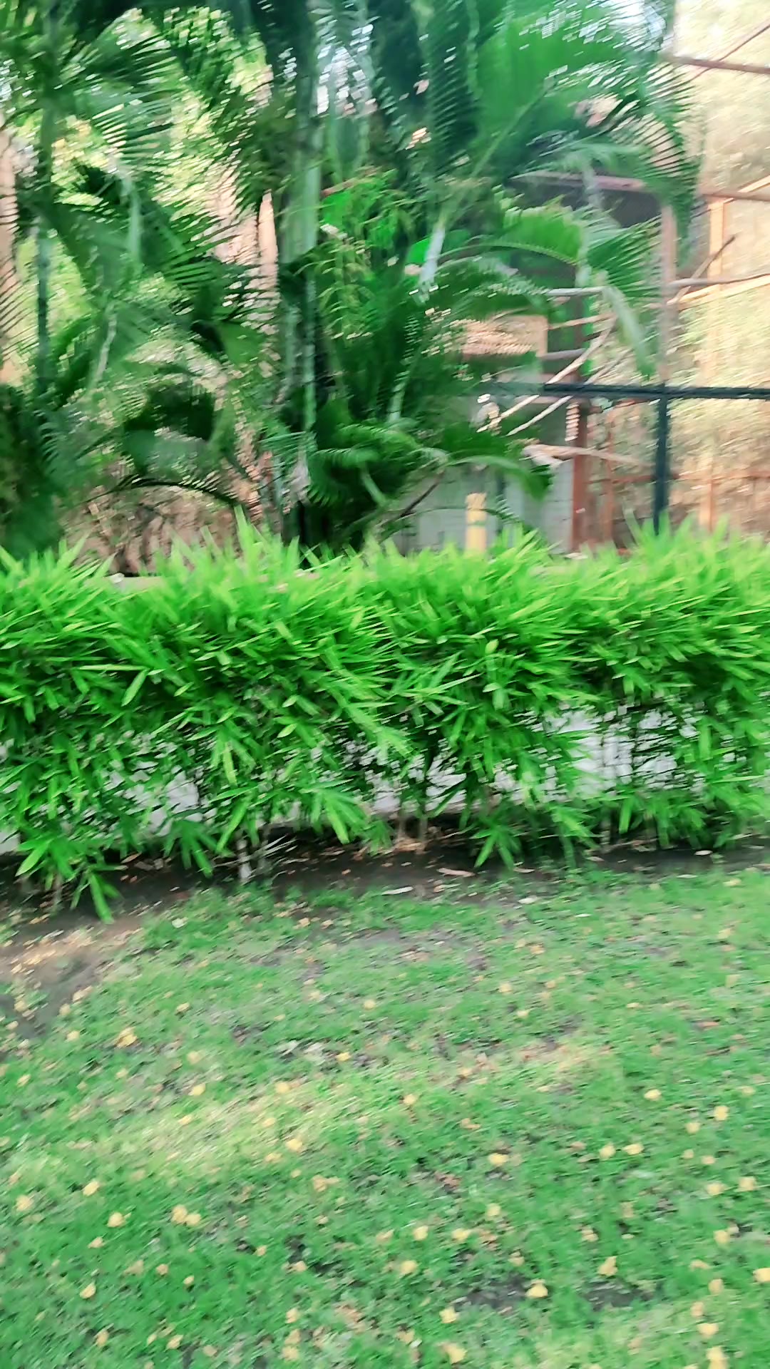 @Laxman Mayalu
