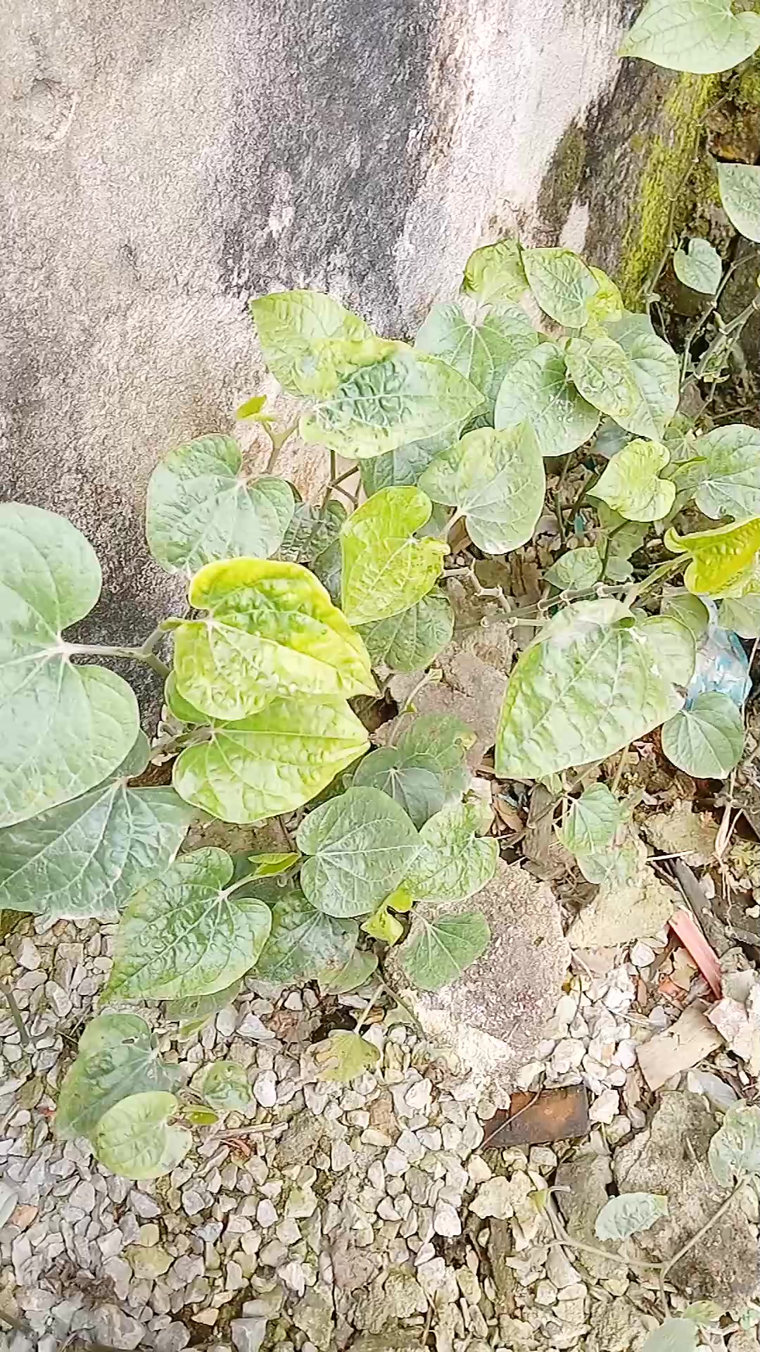 @thương công sức khỏe