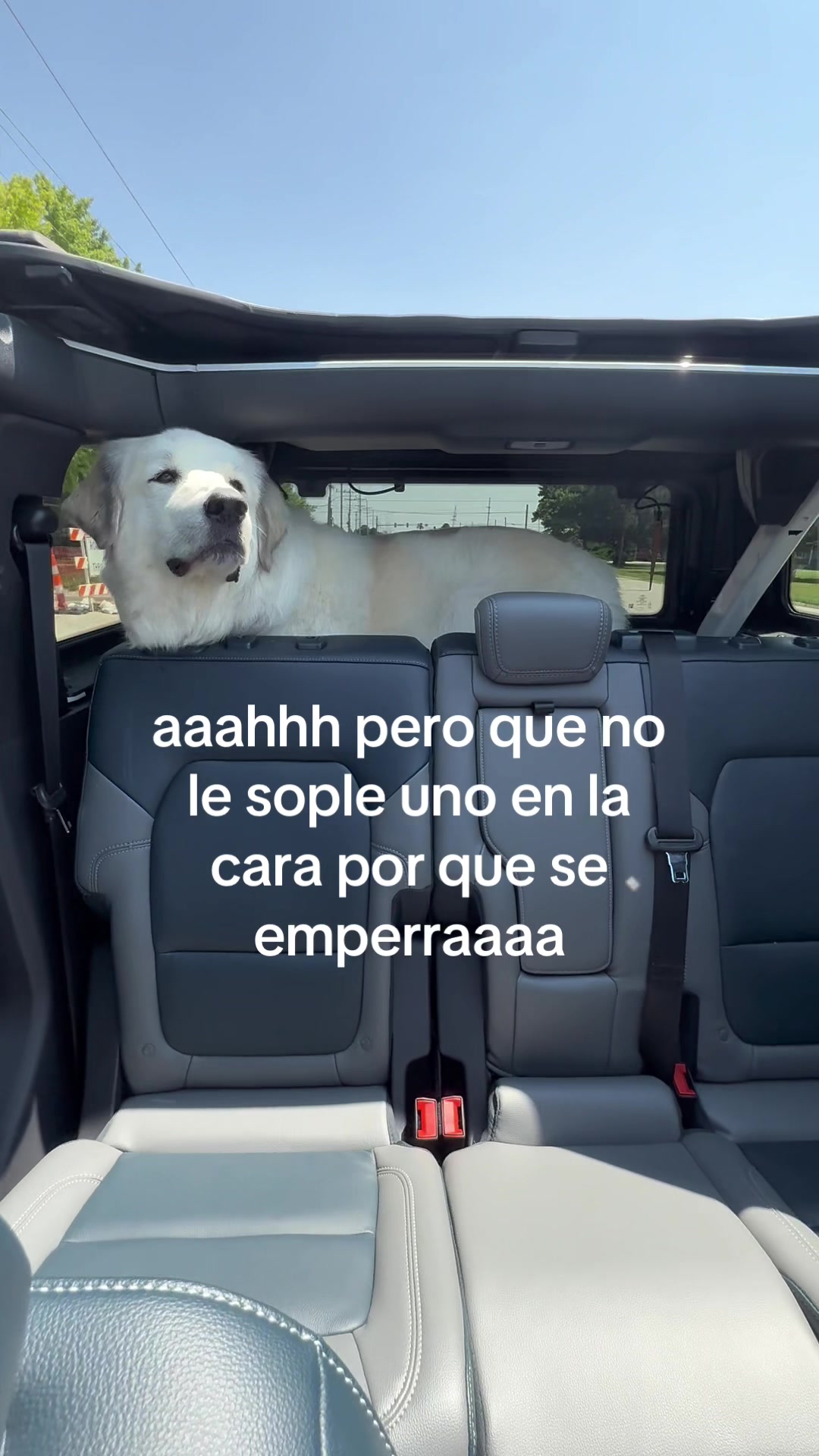 @Gee ☽