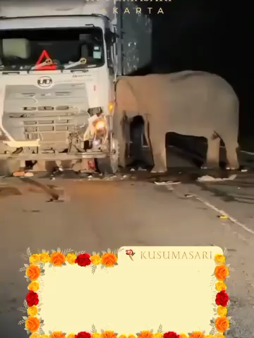 @Toko Bunga Kusumasari