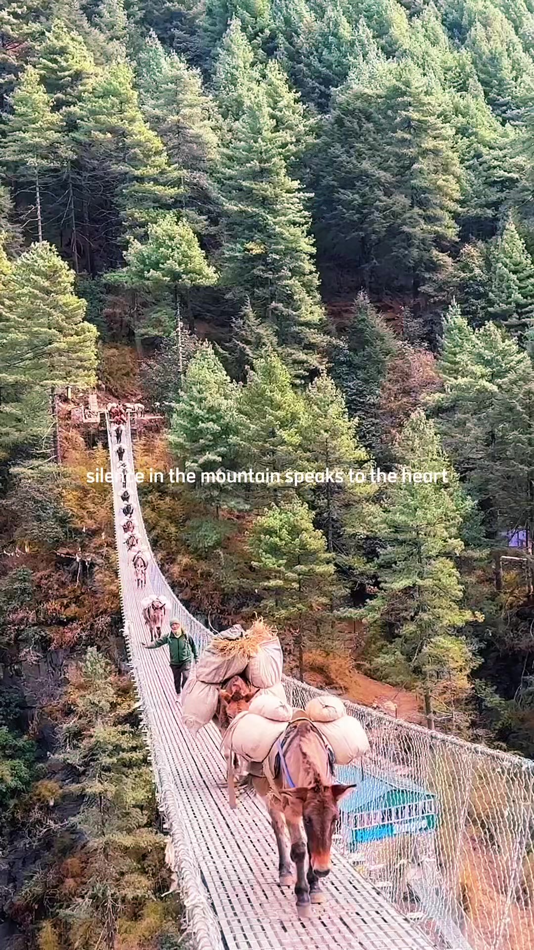 @Kailash Tour Guide