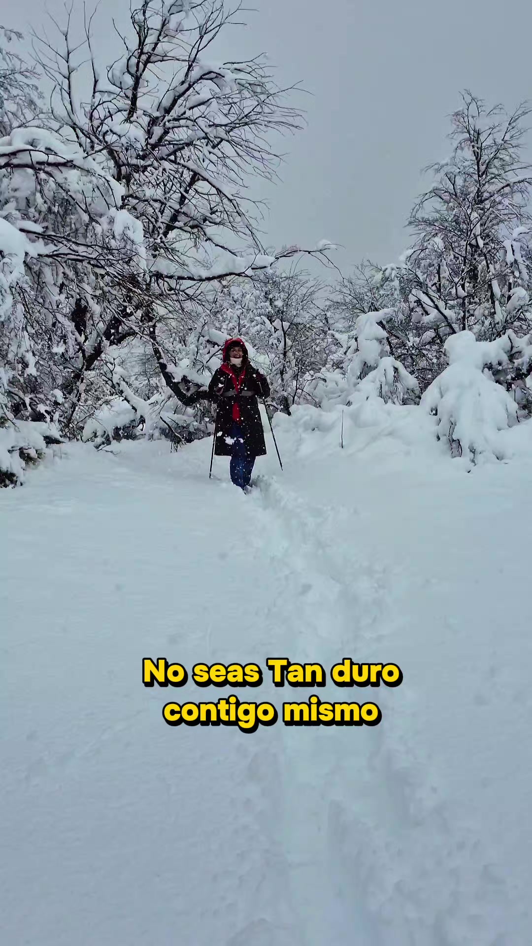 @PanteraCaro