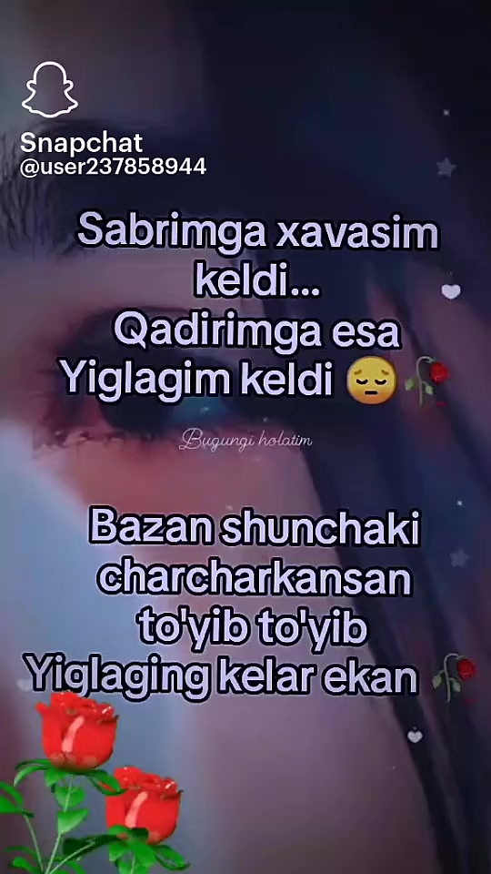 @nazokat xon