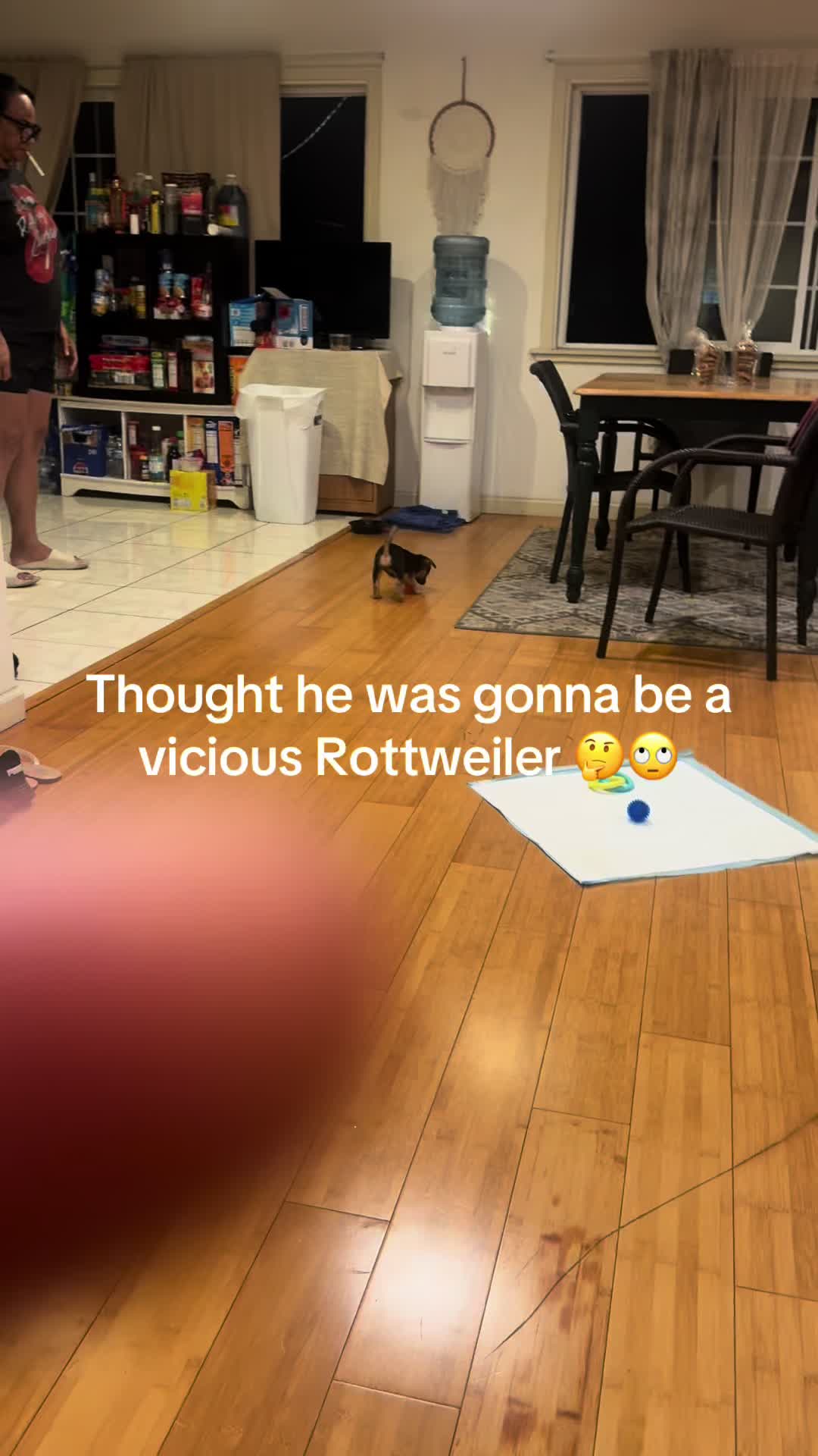 @FaaOFO