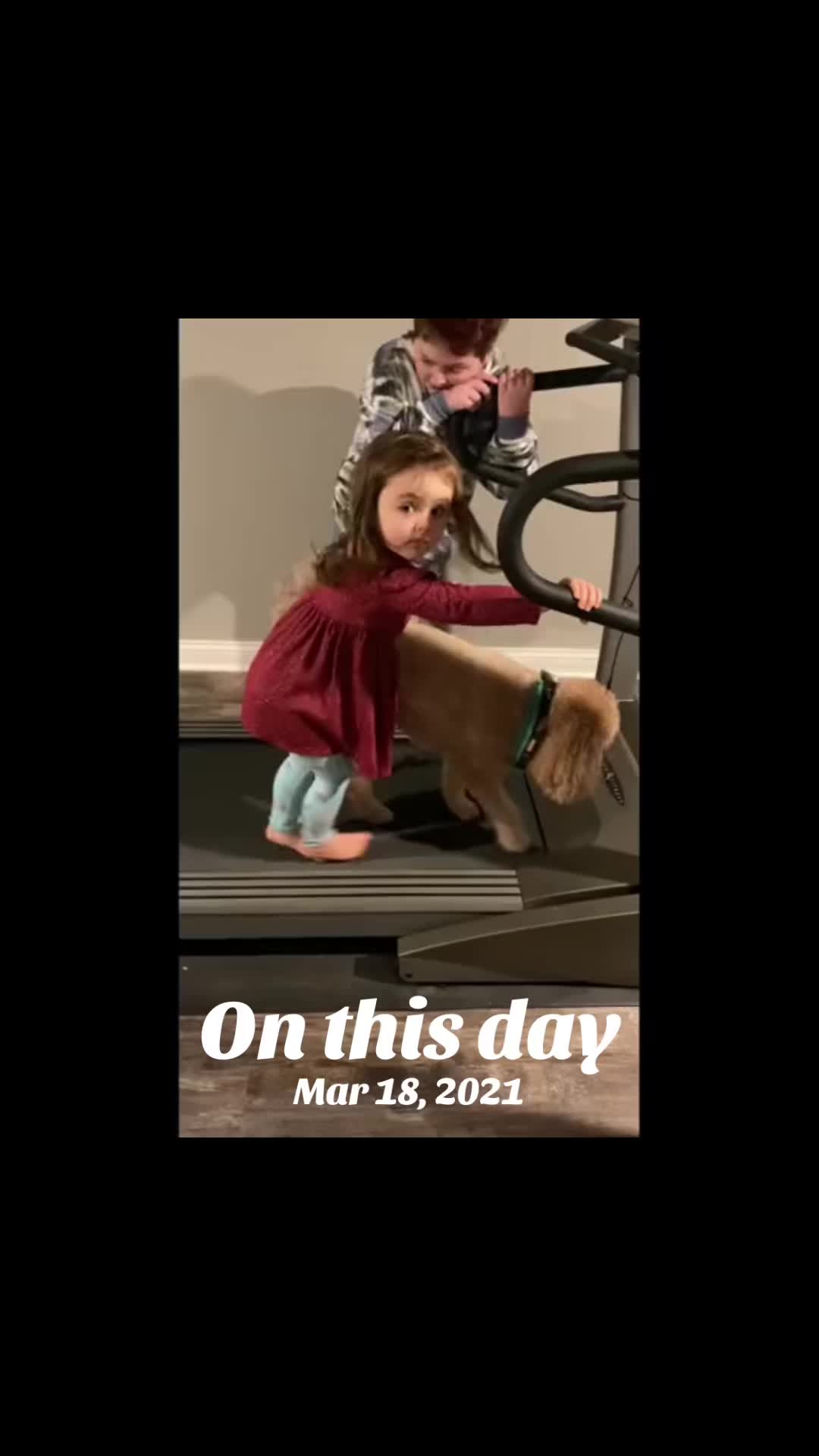 @Adventureswithmoxie