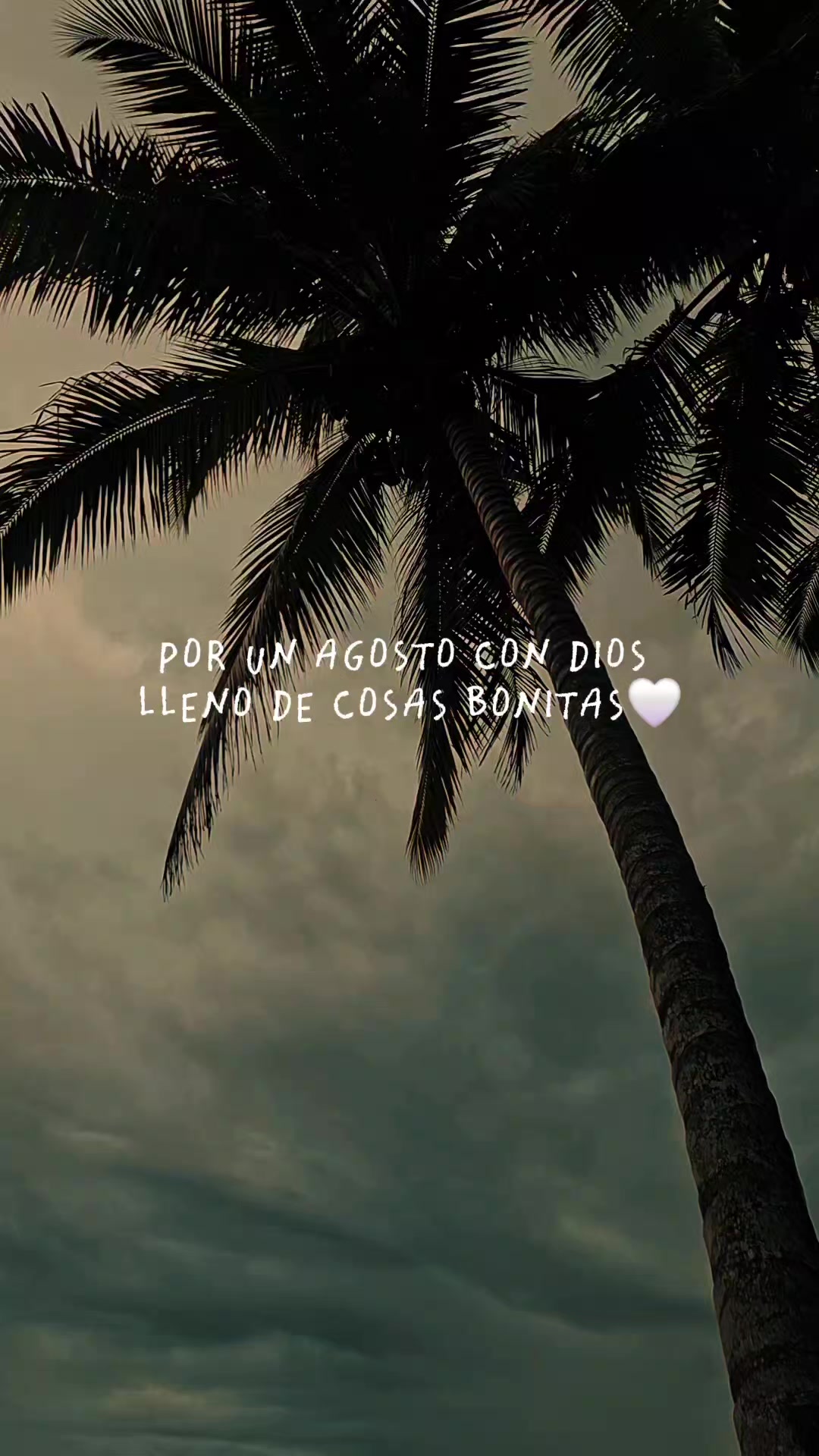 @PausaDorada🌅