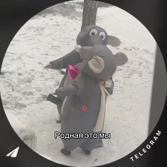 @миила🐈⬛