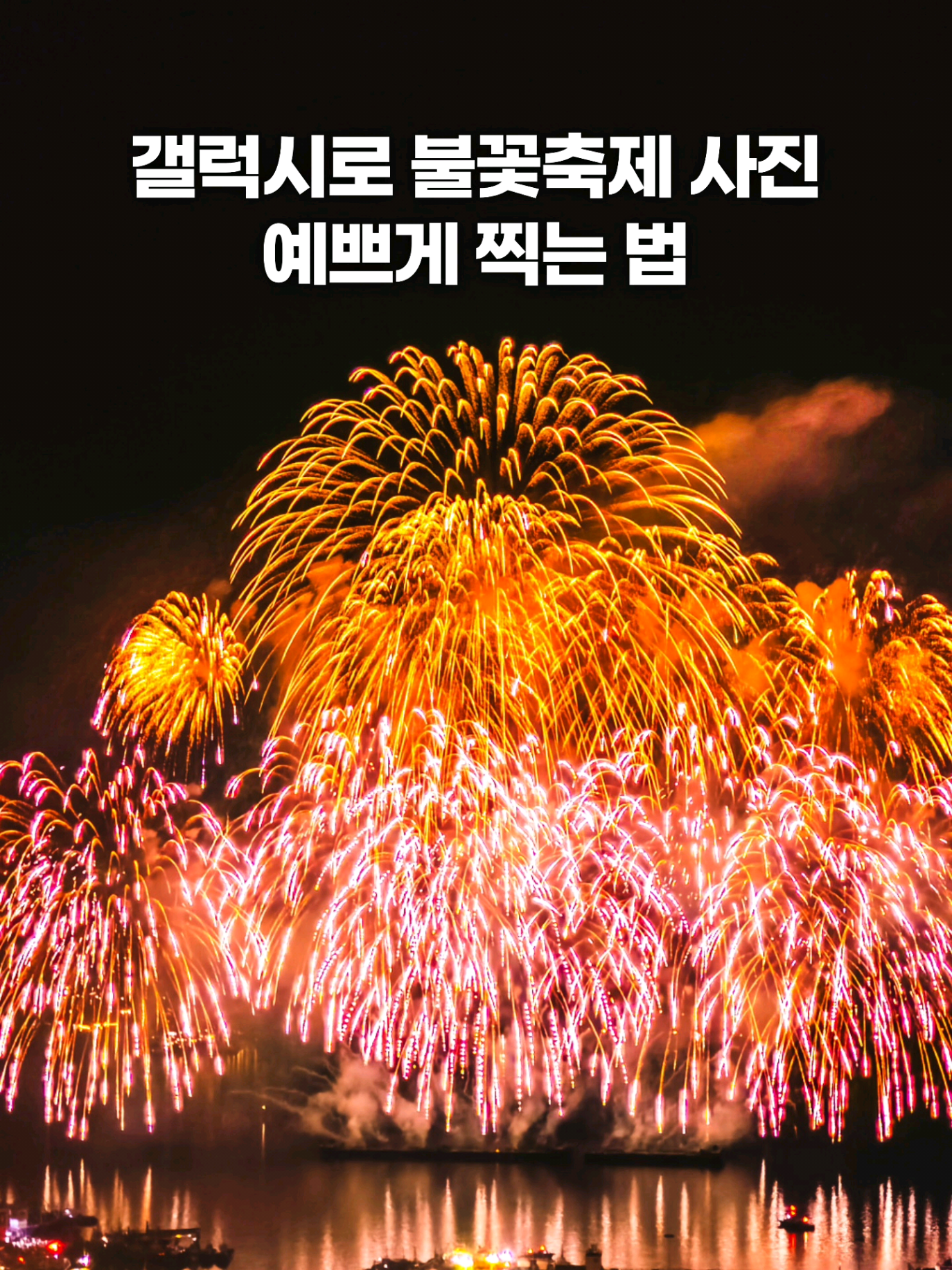 @주니웨어 주니