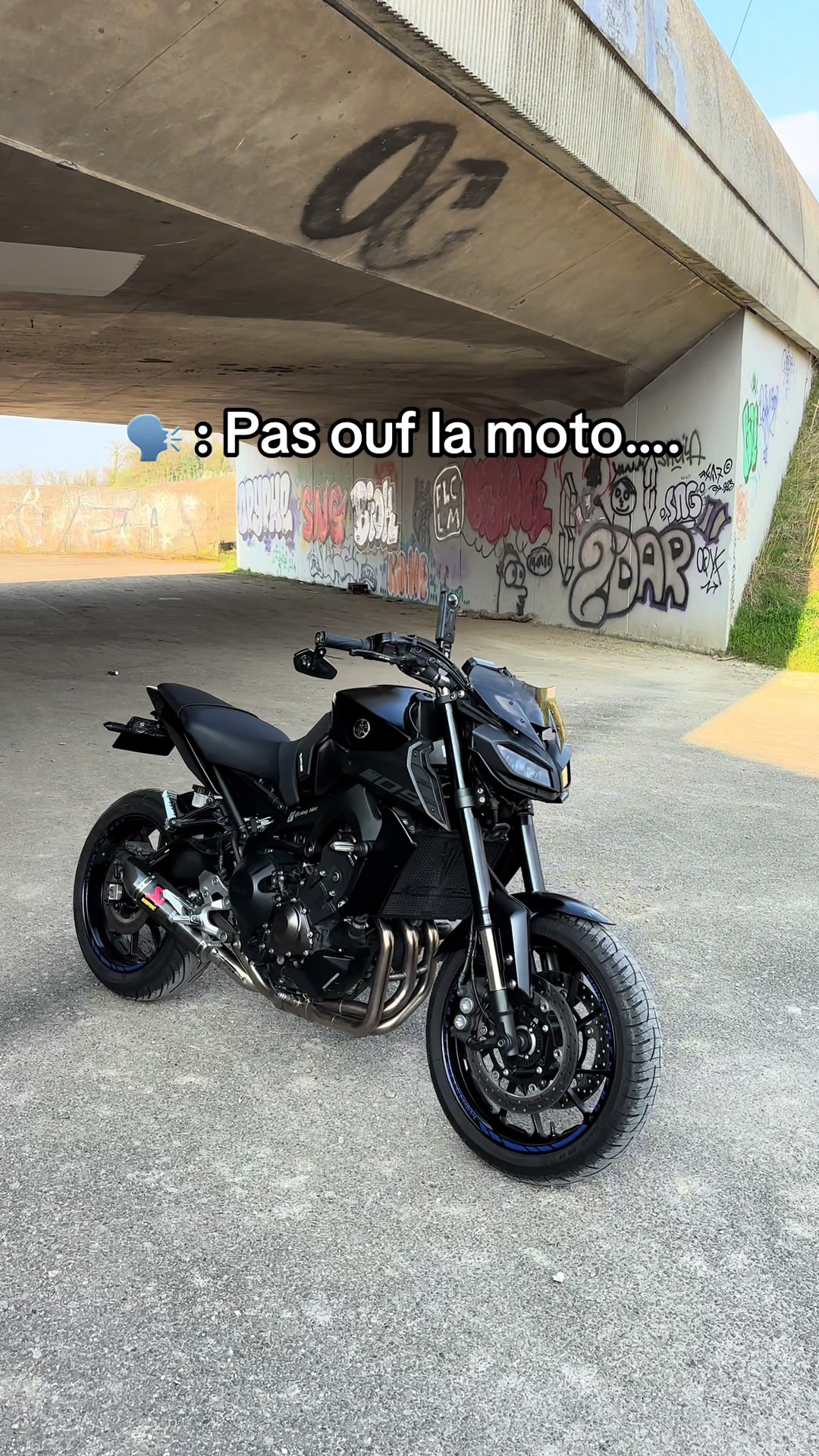 @LE LOUP