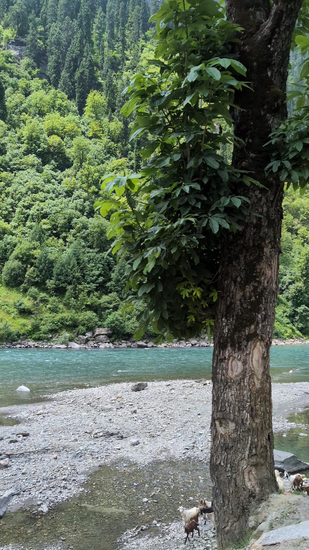@𝓜𝓸𝓷𝓲 𝓖