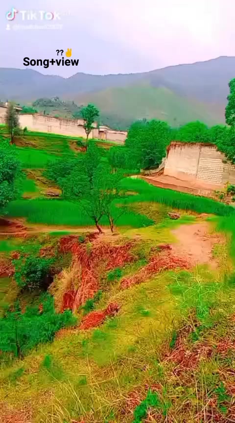 @shaidullah1129