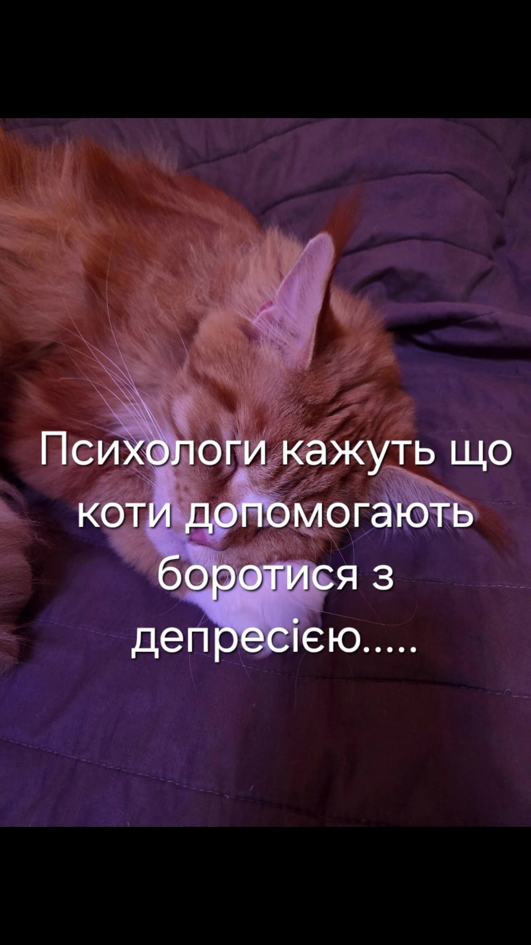 @Олена Губа