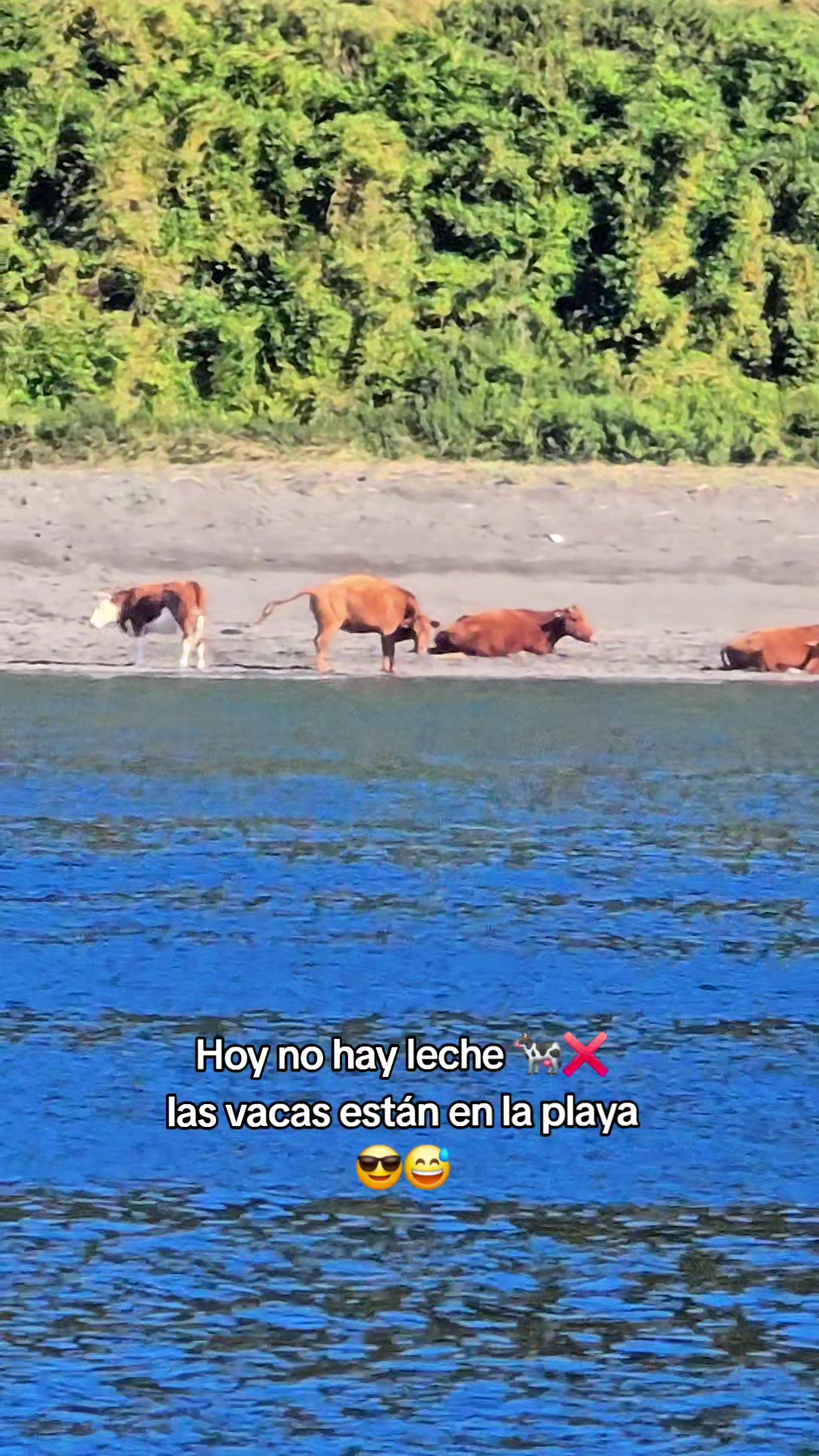 @jorge_el_chilote